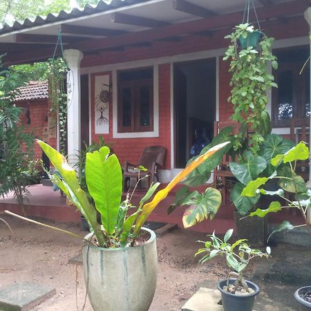 Angry Birds Homestay Habarana Rom bilde