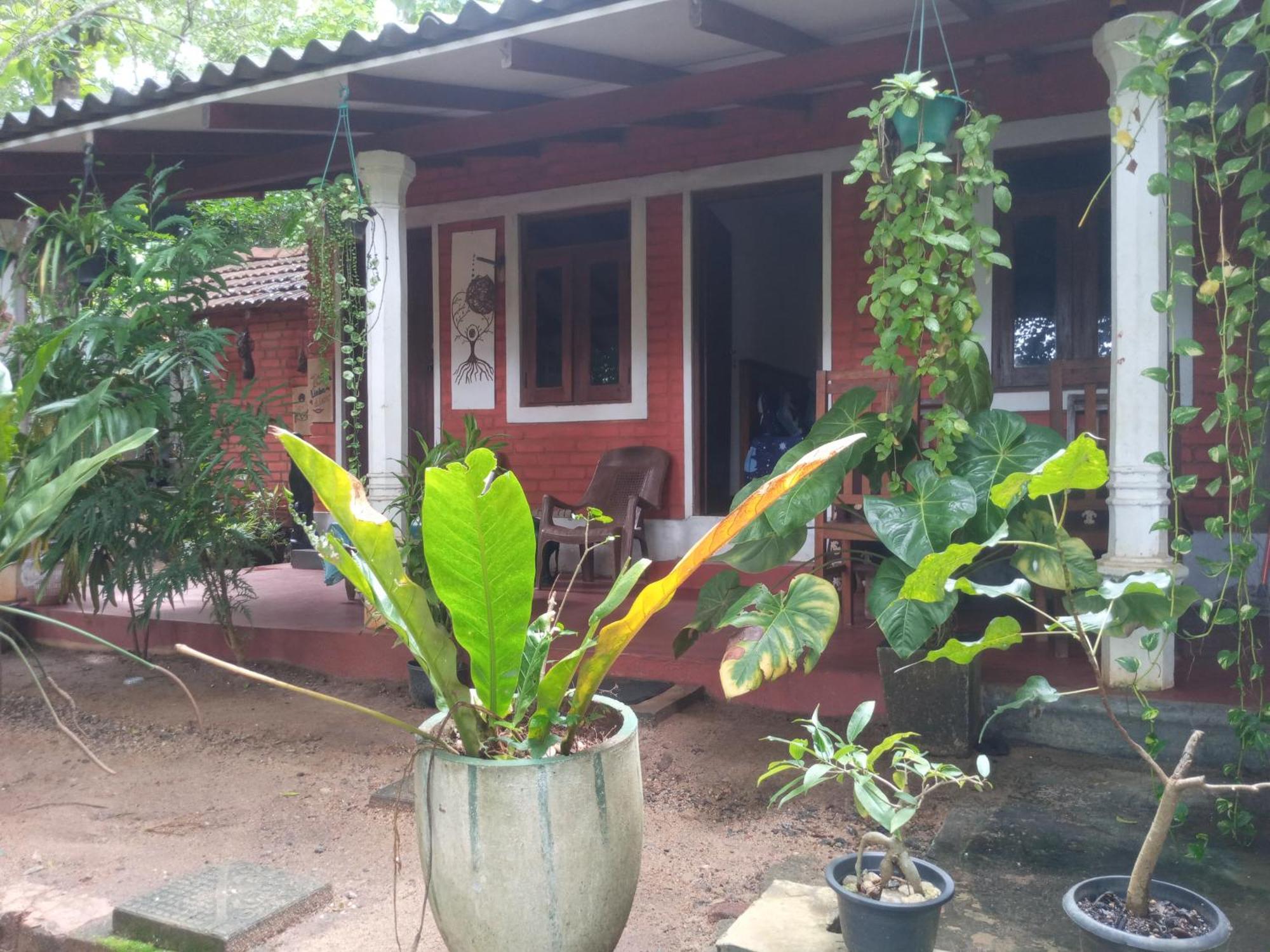 Angry Birds Homestay Habarana Rom bilde